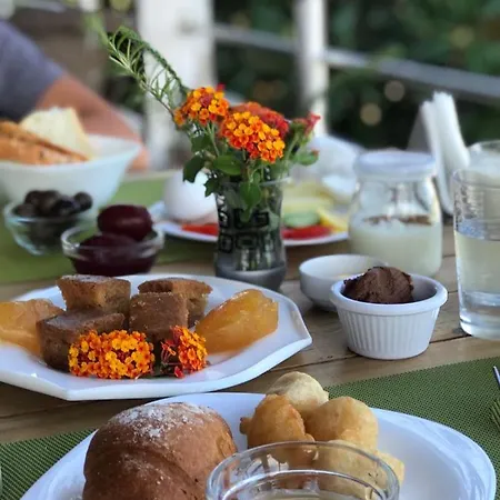 Bahamas מלון 4*