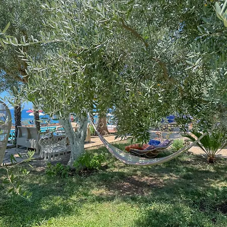 Bahamas 4* Sarandë